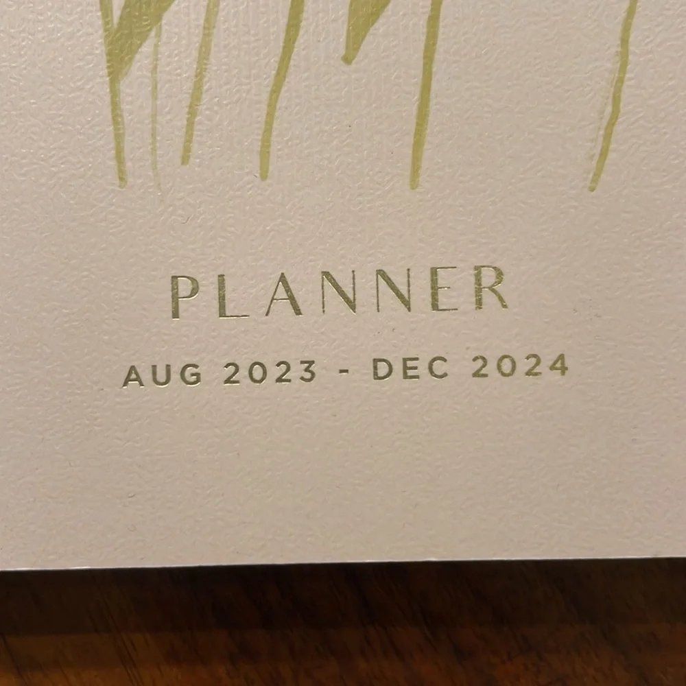 NEW FRINGE 2024 AGENDA AND PLANNER - LET JOY IN AGAIN AND AGAIN!